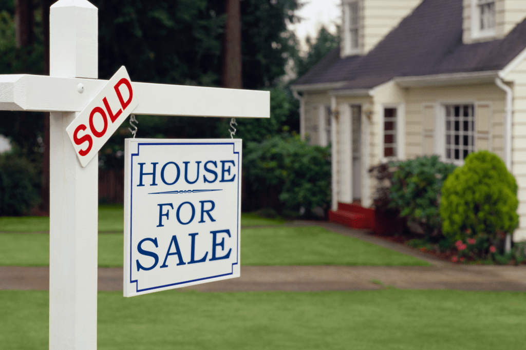 Professional real estate&nbsp;services?