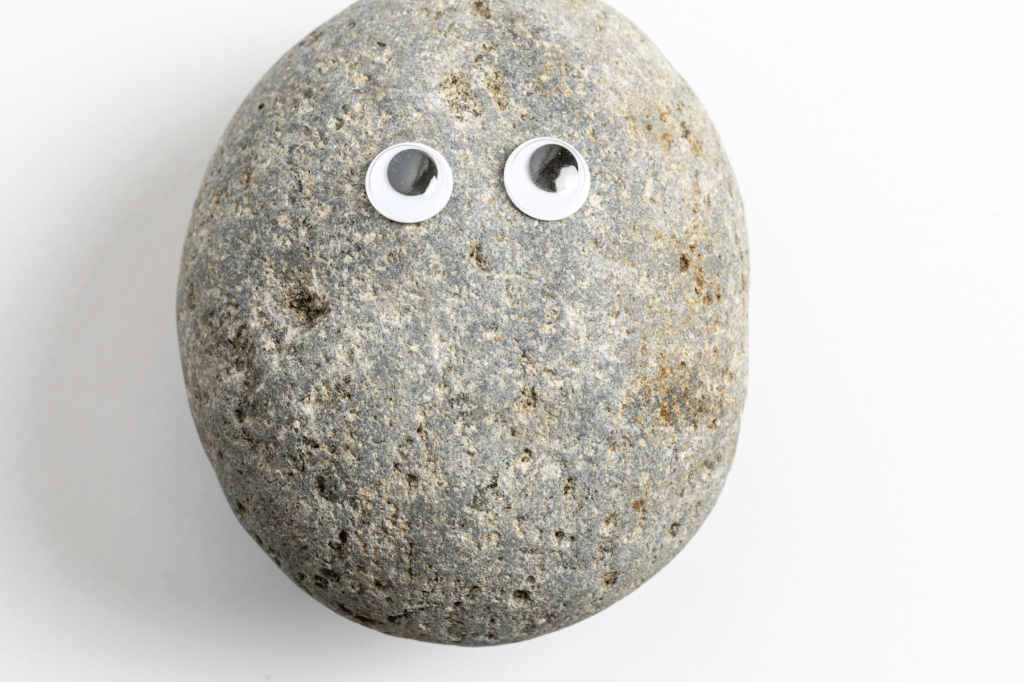 “He really does rock…”