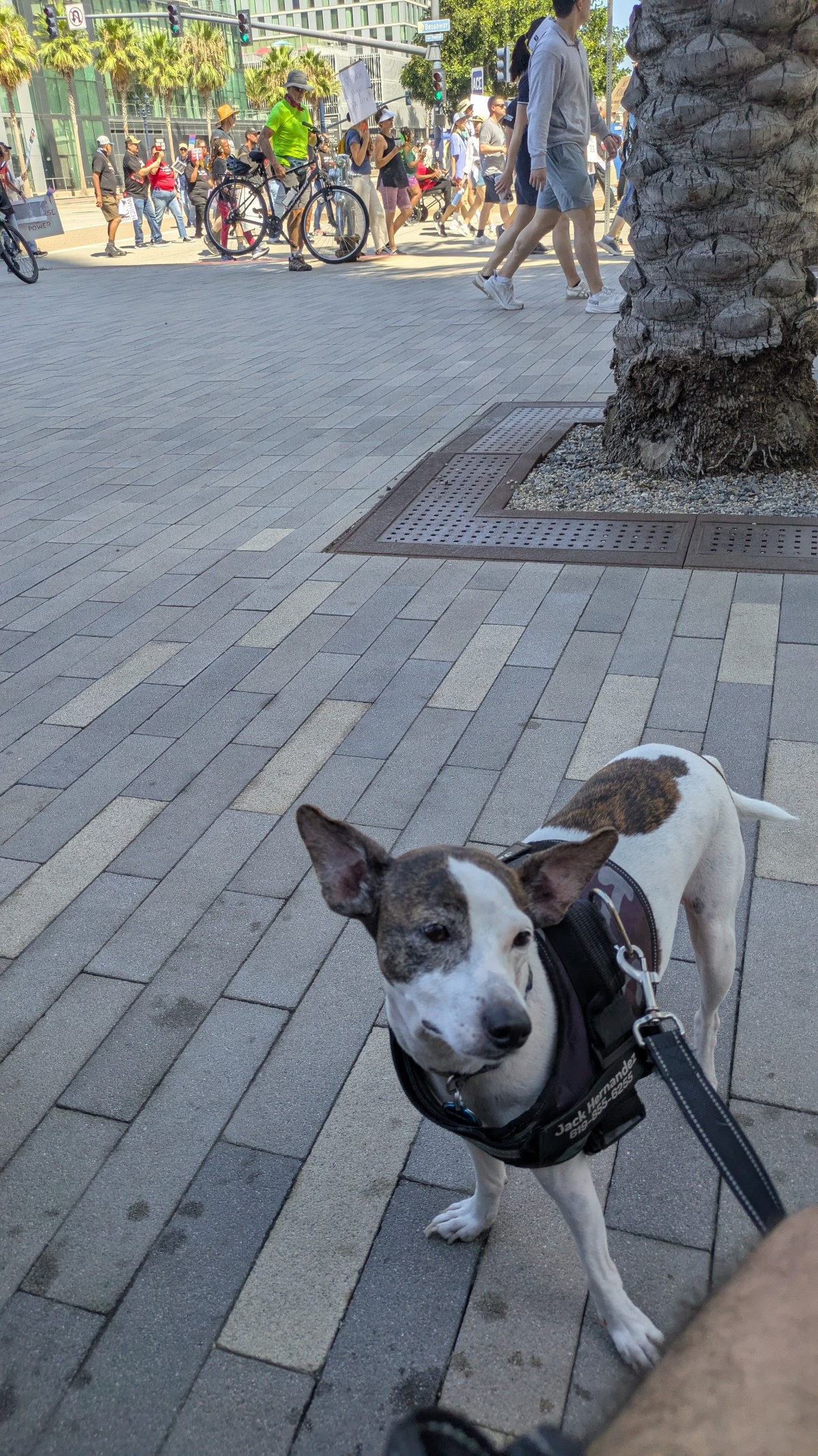 I heard a woman&nbsp;say…