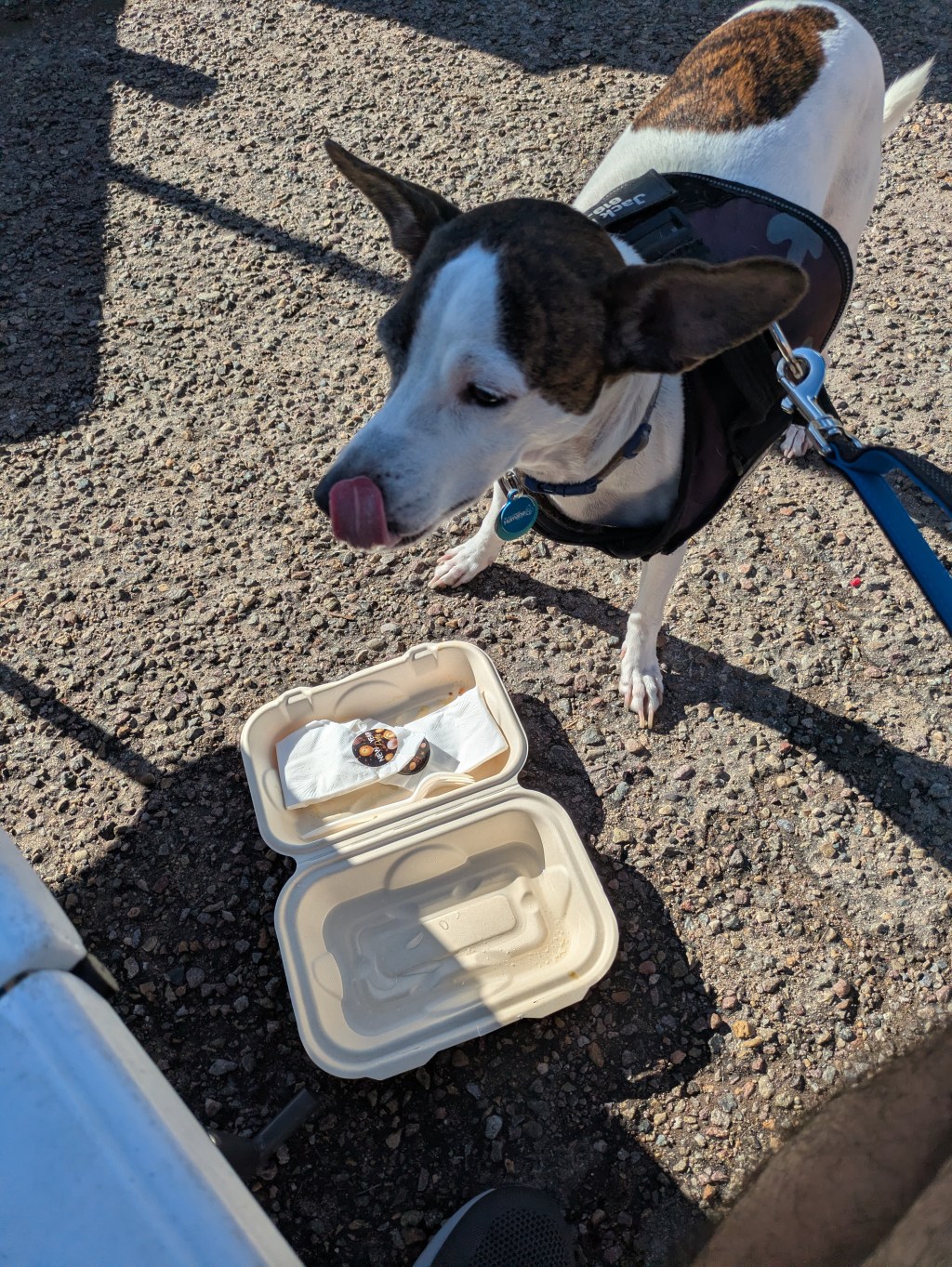 Today at the Farmer’s&nbsp;Market